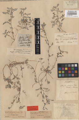 LE 00014230