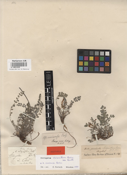 LE 00014249