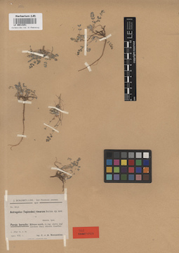LE 00014251