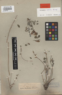 LE 00014253