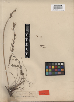 LE 00014254