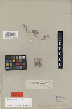LE 00014262