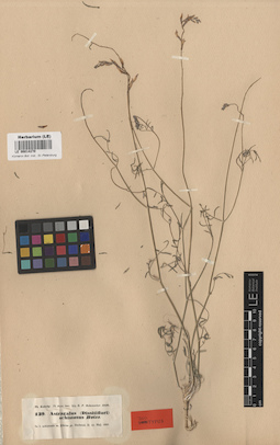 LE 00014270