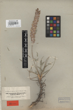 LE 00014276