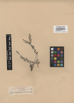 LE 00014285