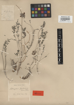 LE 00014286