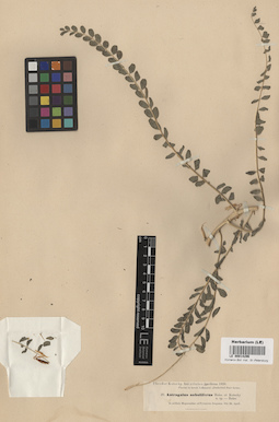 LE 00014296