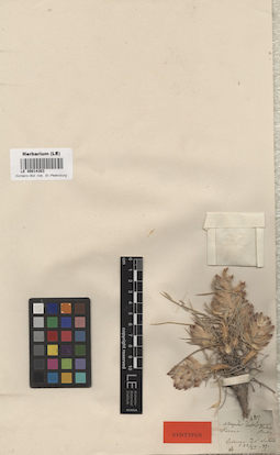 LE 00014303