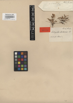 LE 00014315