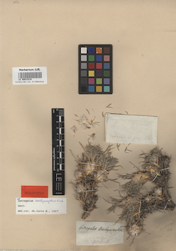 LE 00014319