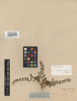 LE 00014320