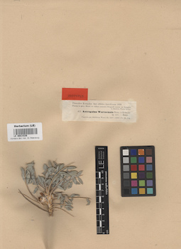 LE 00014336