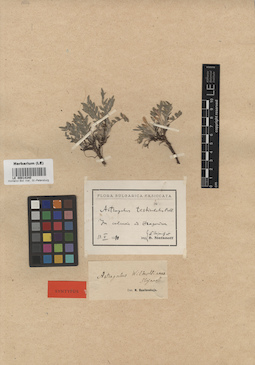 LE 00014340