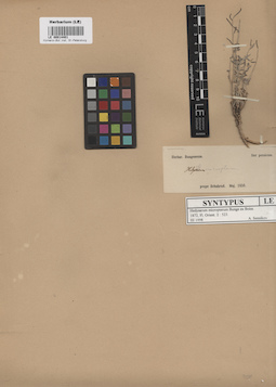 LE 00014401