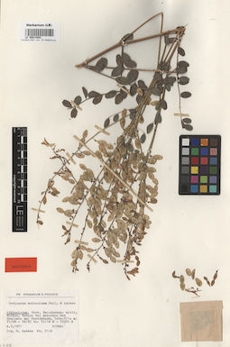 LE 00014403