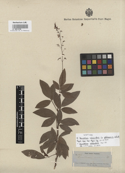 LE 00014436