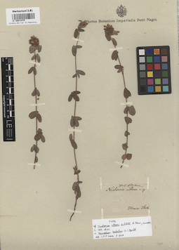 LE 00014475