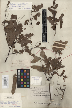 LE 00014496