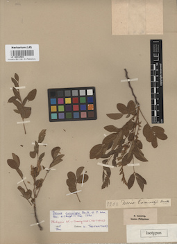 LE 00014503