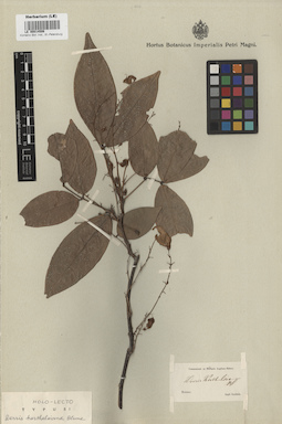 LE 00014506