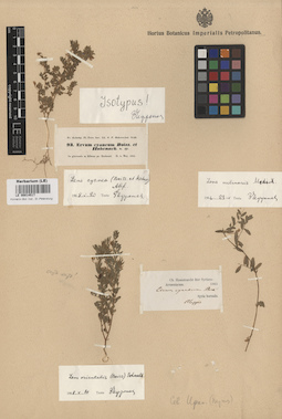 LE 00014517