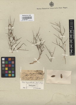 LE 00014550