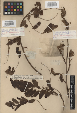 LE 00014561