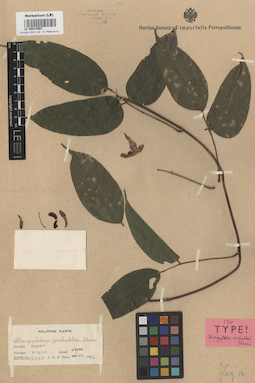 LE 00014564
