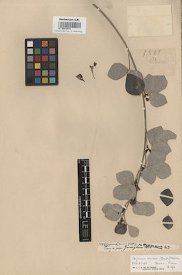 LE 00014572
