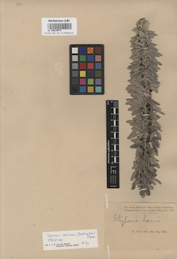 LE 00014573