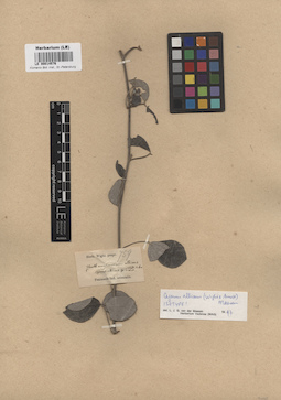 LE 00014576