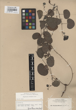 LE 00014578