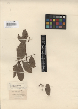 LE 00014663