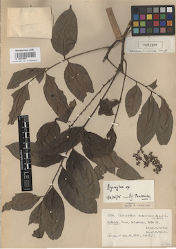 LE 00014687