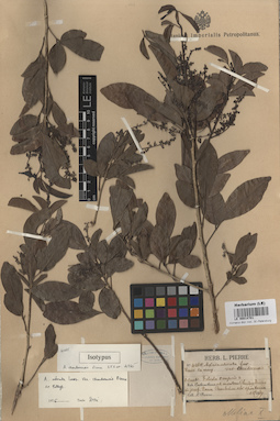 LE 00014701