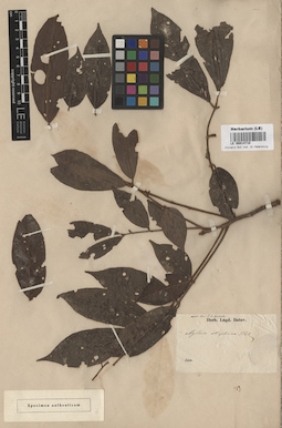 LE 00014710