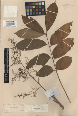 LE 00014730