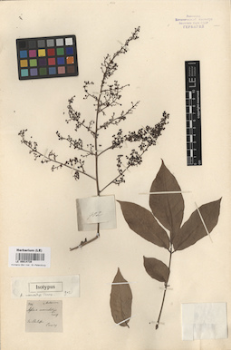 LE 00014739