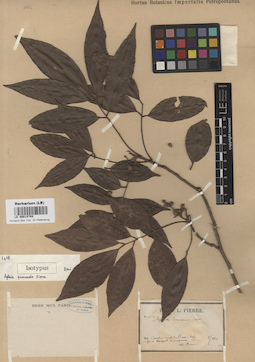 LE 00014749