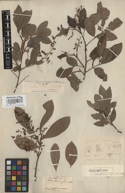 LE 00014751