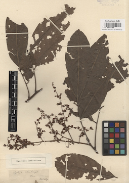LE 00014754