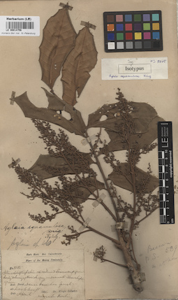 LE 00014756