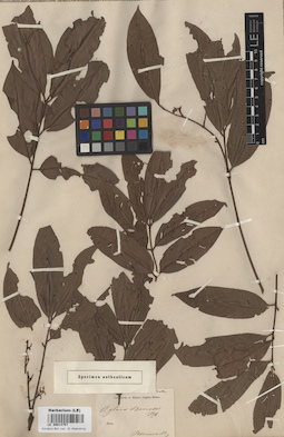LE 00014757
