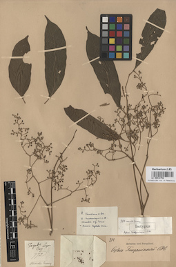 LE 00014758