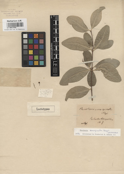 LE 00014764
