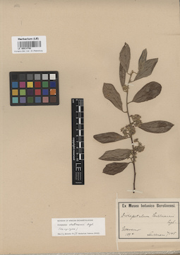 LE 00014788