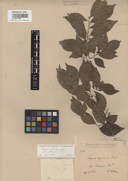LE 00014795