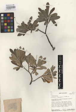LE 00014827