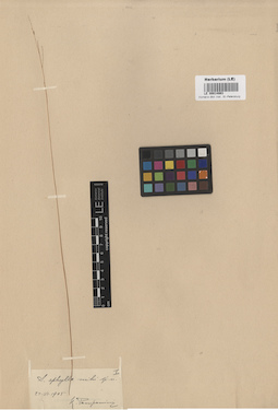 LE 00014863