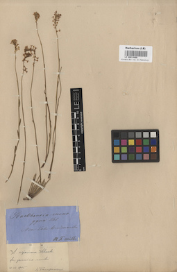 LE 00014866